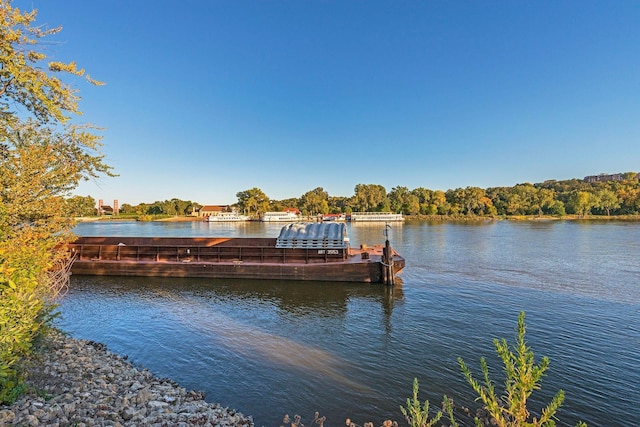 285 Cliff St Unit 4, Saint Paul, MN 55102 - dock featuring a water view