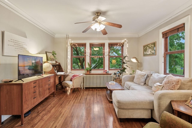 285 Cliff St Unit 4, Saint Paul, MN 55102 - living area featuring radiator heating unit, ceiling fan, hardwood / wood-style flooring, and crown molding