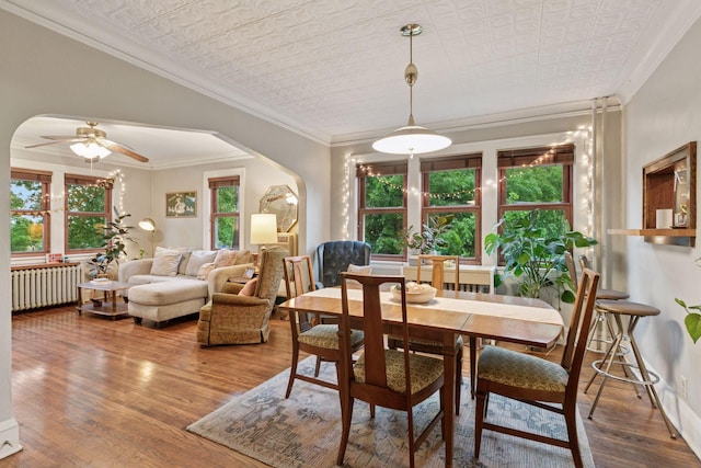 285 Cliff St Unit 4, Saint Paul, MN 55102 - dining space with radiator heating unit, healthy amount of natural light, wood finished floors, ceiling fan, and crown molding