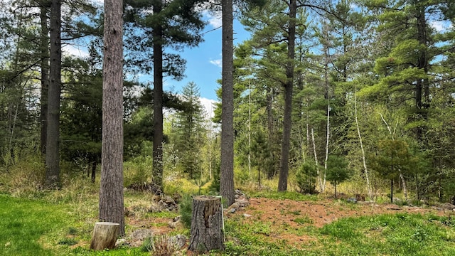 25 Maki Rd, Esko, MN 55733 - view of wooded area