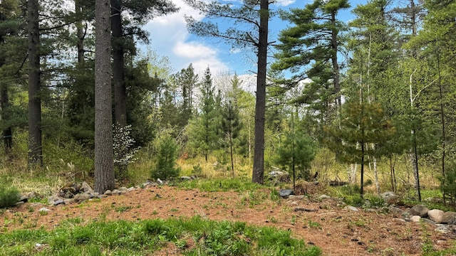 25 Maki Rd, Esko, MN 55733 - view of wooded area