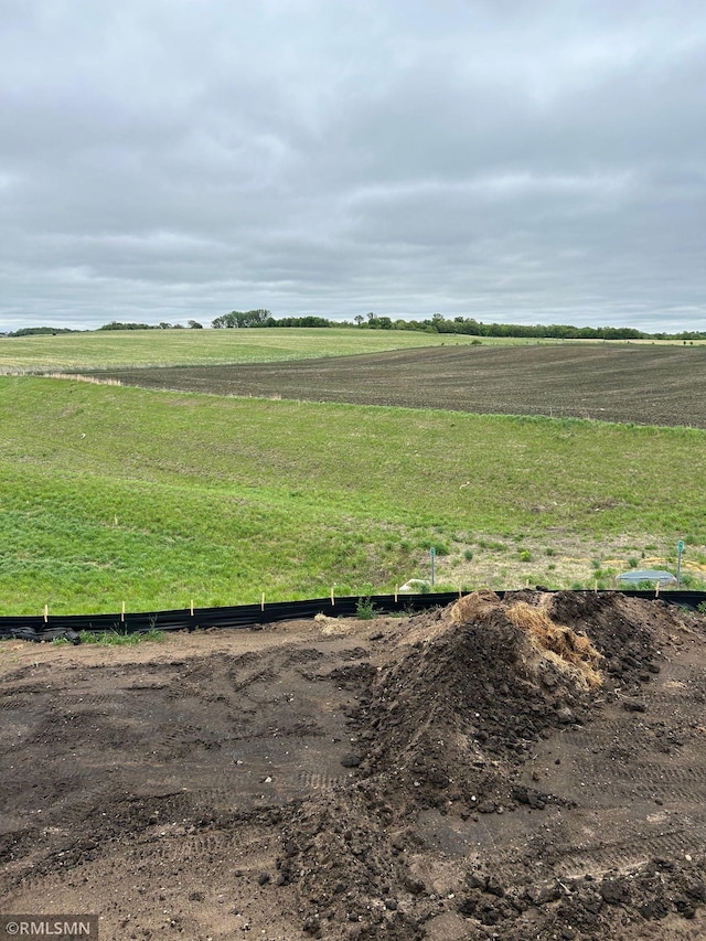 10101 Blackmoor Rd, Woodbury, MN 55129 - view of yard with a view of countryside