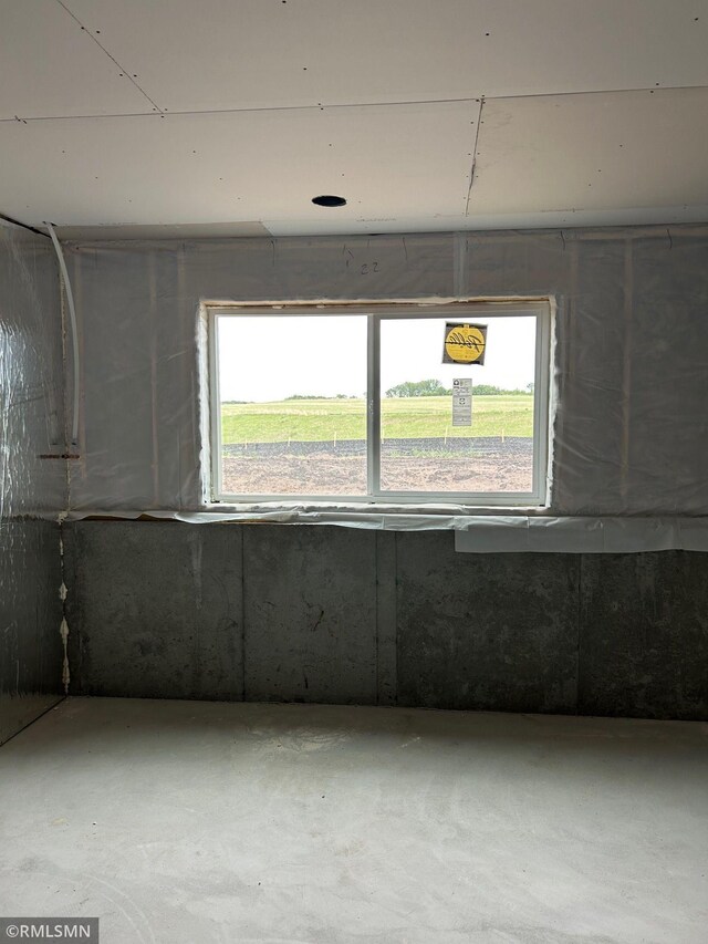 10101 Blackmoor Rd, Woodbury, MN 55129 - view of below grade area