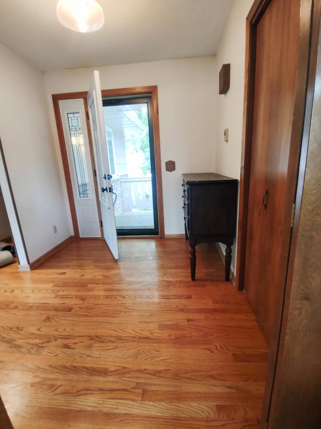 620 Maple St, Dassel, MN 55325 - foyer entrance with light wood-style flooring and baseboards