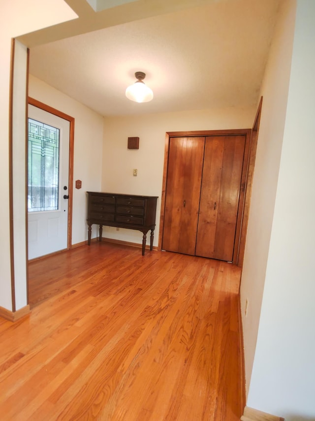 620 Maple St, Dassel, MN 55325 - foyer featuring light wood-style floors and baseboards