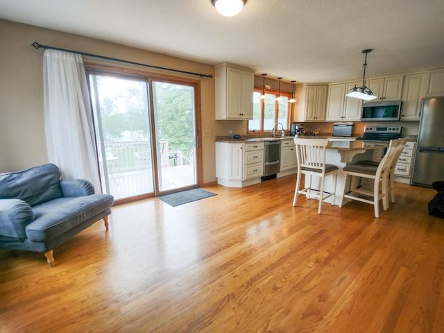 620 Maple St, Dassel, MN 55325 - kitchen with stainless steel appliances, a breakfast bar, light wood finished floors, and open floor plan