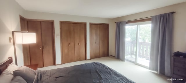 620 Maple St, Dassel, MN 55325 - bedroom with access to exterior, two closets, and carpet floors
