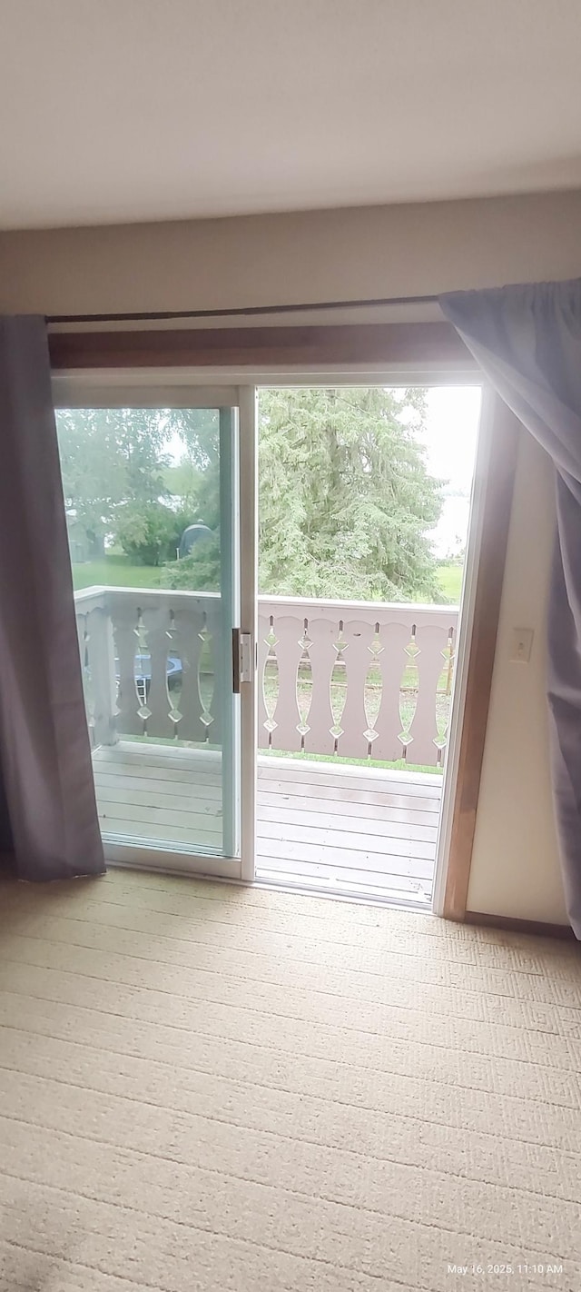 620 Maple St, Dassel, MN 55325 - doorway featuring plenty of natural light