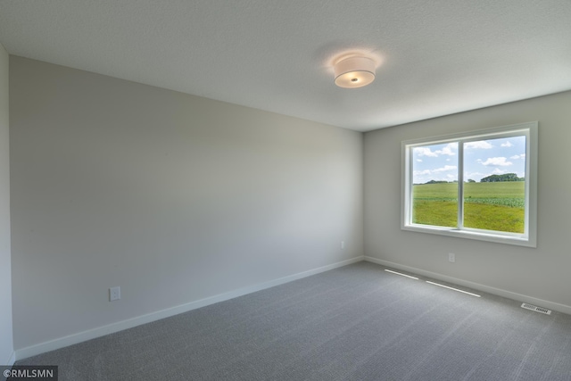 10115 Blackmoor Rd, Woodbury, MN 55129 - photo 29