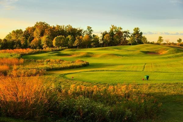 2971 Fairway Dr, Chaska, MN 55318 - view of community with golf course view, view of wooded area, and a yard