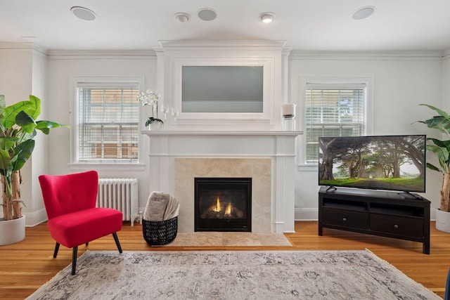 1785 Dupont Ave S, Minneapolis, MN 55403 - living room featuring radiator heating unit, wood finished floors, a fireplace, plenty of natural light, and crown molding