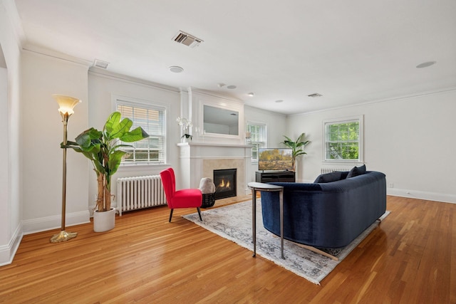 1785 Dupont Ave S, Minneapolis, MN 55403 - living area featuring radiator heating unit, a fireplace with flush hearth, crown molding, light wood finished floors, and baseboards