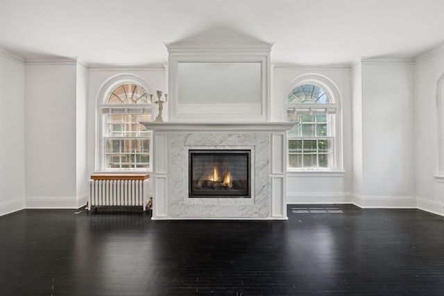 1785 Dupont Ave S, Minneapolis, MN 55403 - unfurnished living room with radiator heating unit, dark wood finished floors, a premium fireplace, baseboards, and crown molding