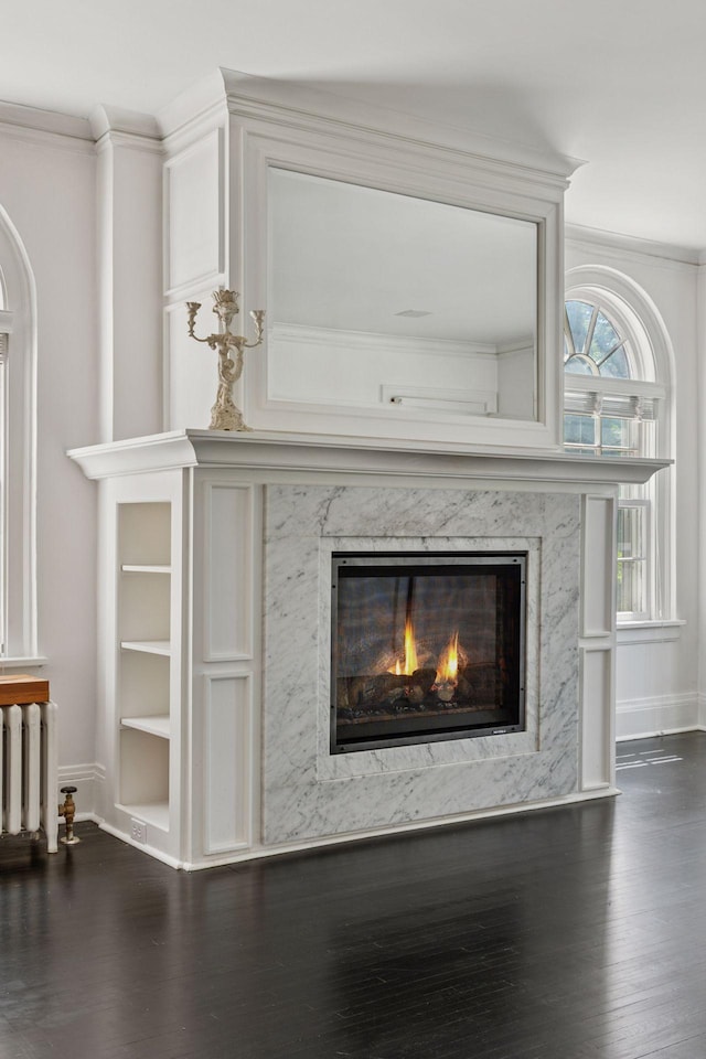 1785 Dupont Ave S, Minneapolis, MN 55403 - detailed view of wood finished floors, a premium fireplace, baseboards, ornamental molding, and radiator