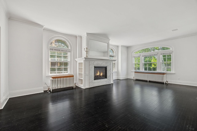 1785 Dupont Ave S, Minneapolis, MN 55403 - unfurnished living room with radiator, healthy amount of natural light, a premium fireplace, and ornamental molding