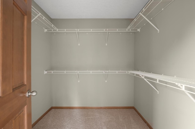 10543 Noble Cir N, Brooklyn Park, MN 55443 - walk in closet with light carpet