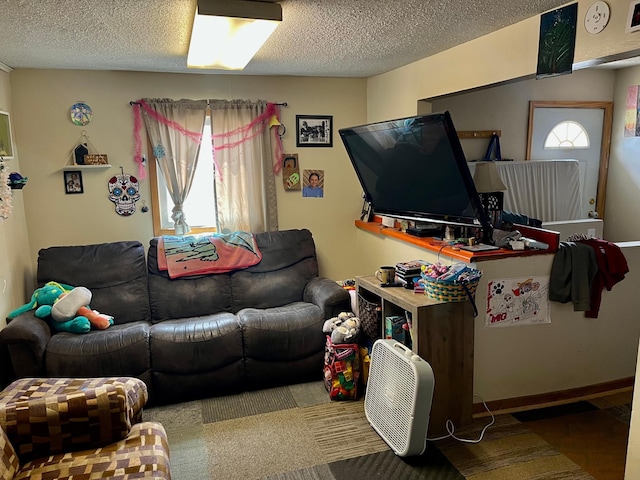 409 14th Ave, Grand Rapids, MN 55744 - living room with a textured ceiling