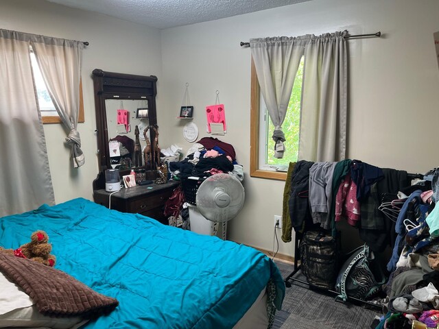 409 14th Ave, Grand Rapids, MN 55744 - view of bedroom