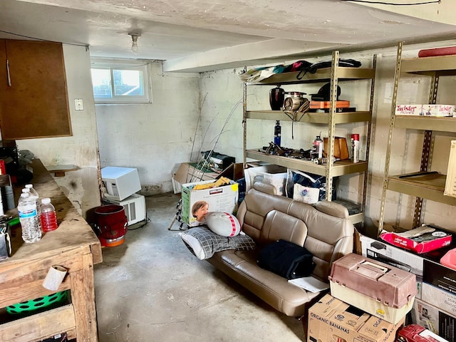 409 14th Ave, Grand Rapids, MN 55744 - view of storage room