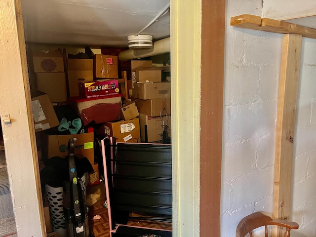 409 14th Ave, Grand Rapids, MN 55744 - view of storage