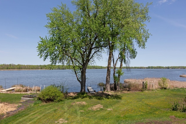761 Country Lakes Dr, Lino Lakes, MN 55014 - water view