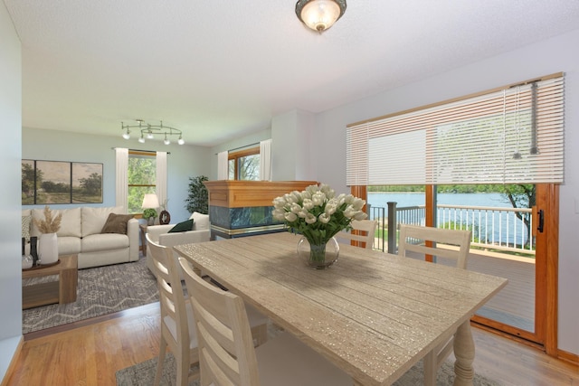 761 Country Lakes Dr, Lino Lakes, MN 55014 - dining area featuring light wood-style floors