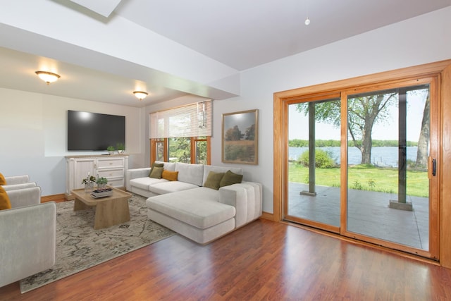 761 Country Lakes Dr, Lino Lakes, MN 55014 - living room featuring plenty of natural light, wood finished floors, a water view, and baseboards