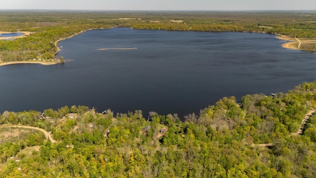 bird's eye view of a forest and a large body of water
