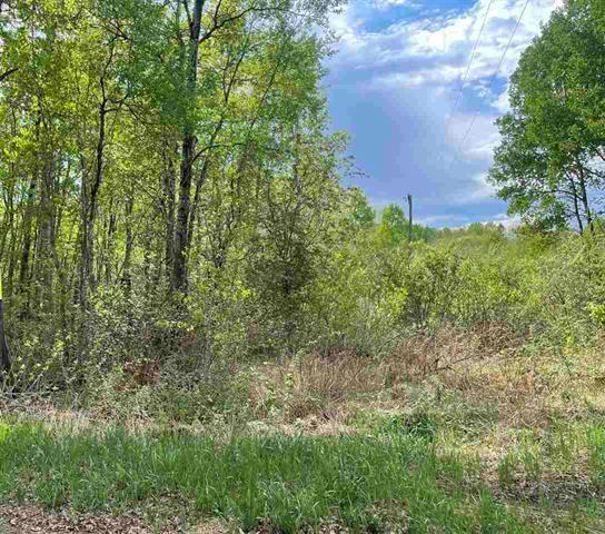 TBD 3rd St, Hibbing, MN 55746