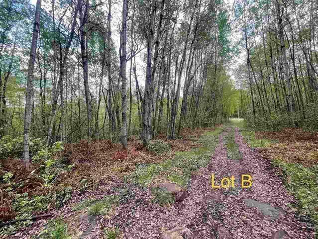 TBD 1st St, Leetonia, Hibbing, MN 55746