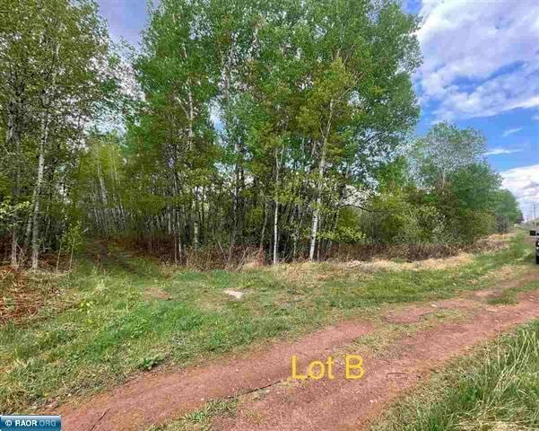 TBD 1st St, Leetonia, Hibbing, MN 55746
