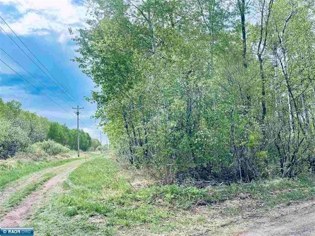 TBD 1st St, Leetonia, Hibbing, MN 55746