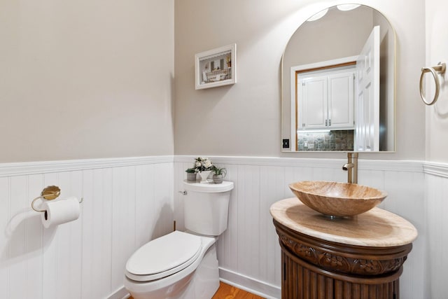 3613 Clare Downs Path, Rosemount, MN 55068 - half bathroom featuring wainscoting, toilet, vanity, and wood finished floors