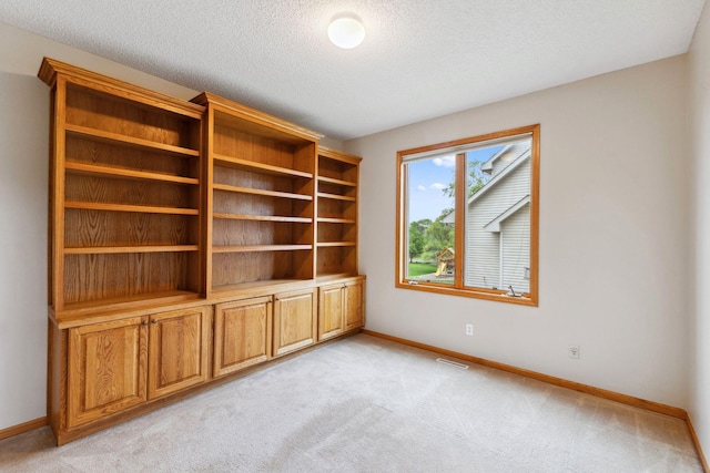 3613 Clare Downs Path, Rosemount, MN 55068 - spare room featuring baseboards, light colored carpet, and a textured ceiling