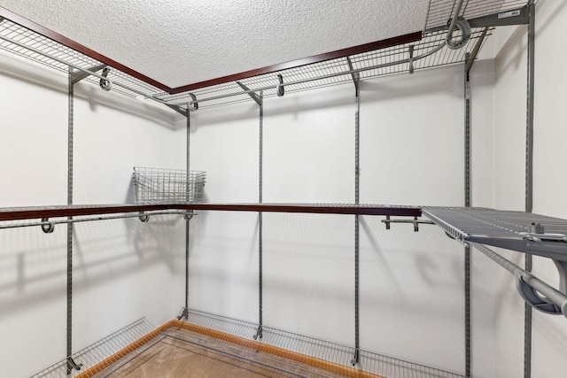 3613 Clare Downs Path, Rosemount, MN 55068 - walk in closet with carpet floors