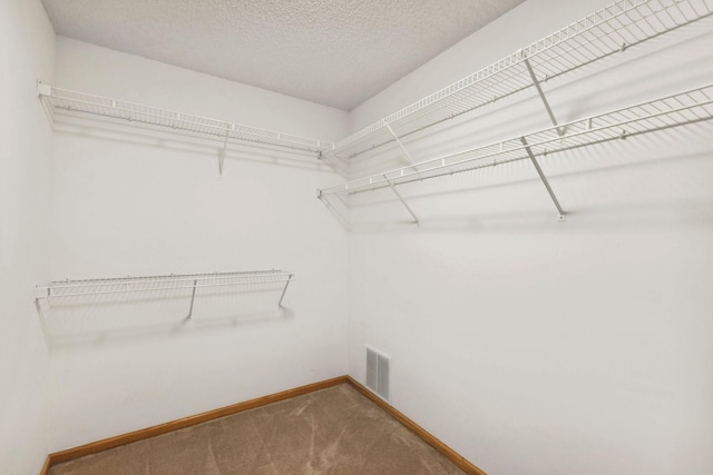 3613 Clare Downs Path, Rosemount, MN 55068 - spacious closet featuring carpet floors