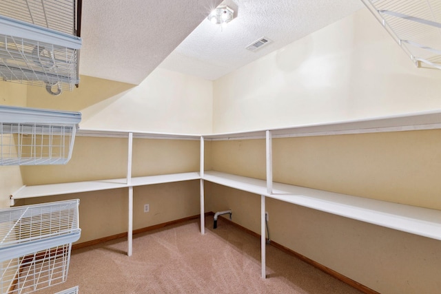 3613 Clare Downs Path, Rosemount, MN 55068 - view of storage room