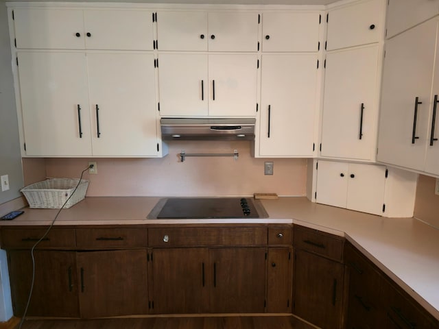 214 Central Ave, Truman, MN 56088 - kitchen featuring ventilation hood, light countertops, black electric stovetop, and white cabinetry