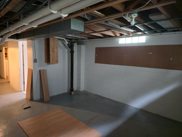 214 Central Ave, Truman, MN 56088 - view of below grade area