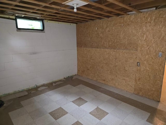 214 Central Ave, Truman, MN 56088 - view of below grade area