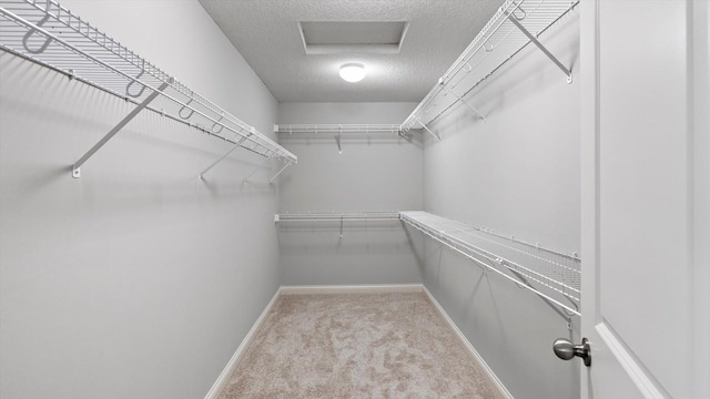 15365 Eagle Creek Way, Apple Valley, MN 55124 - spacious closet with carpet