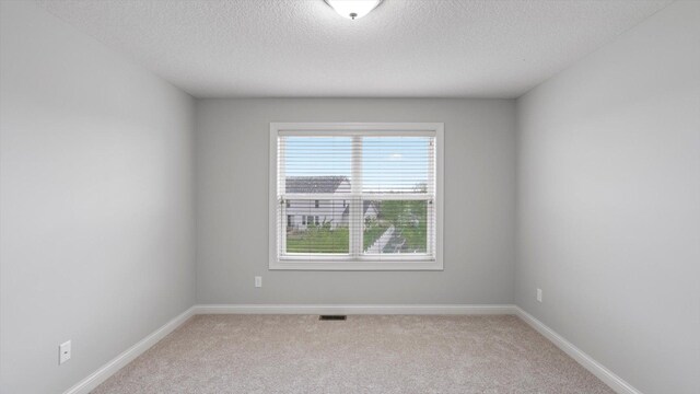 15365 Eagle Creek Way, Apple Valley, MN 55124 - unfurnished room featuring light colored carpet, a textured ceiling, and baseboards