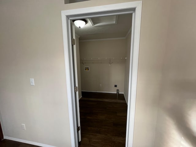 walk in closet with dark wood-style floors and attic access