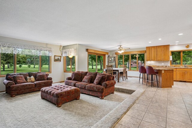 12250 Afton Ave NE, Monticello, MN 55362 - photo 12