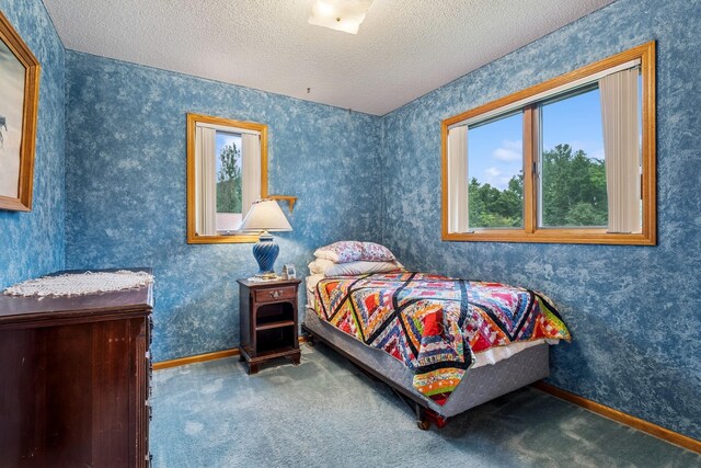 12250 Afton Ave NE, Monticello, MN 55362 - photo 22