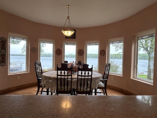 14620 Thomas Rd, Lake Park, MN 56554 - dining room with light wood-style floors, a water view, and baseboards