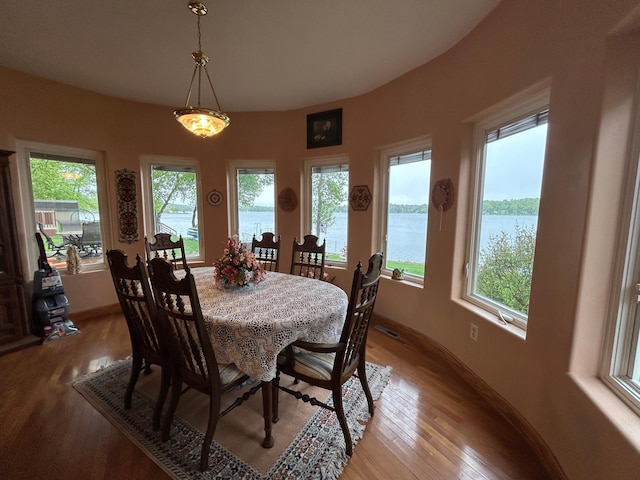 14620 Thomas Rd, Lake Park, MN 56554 - dining space featuring light wood-style flooring, healthy amount of natural light, a water view, and baseboards