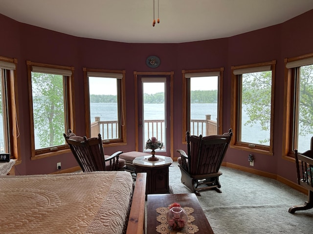 14620 Thomas Rd, Lake Park, MN 56554 - bedroom featuring a water view, access to outside, carpet floors, and baseboards