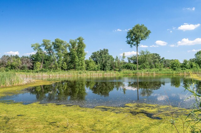 2142 Dogwood St, Lino Lakes, MN 55038 - photo 46