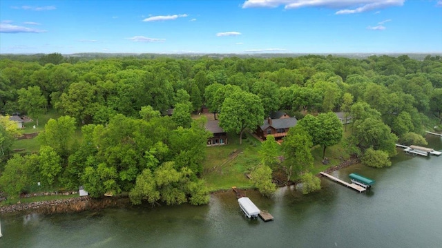 9231 Shady Haven Dr NW, Alexandria, MN 56308 - bird's eye view of a large body of water and a forest